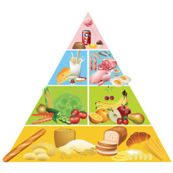 פירמידת המזון קאפה גודל 70-80 