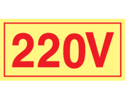 220v